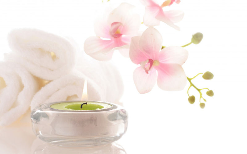 不同颜色的蝴蝶兰