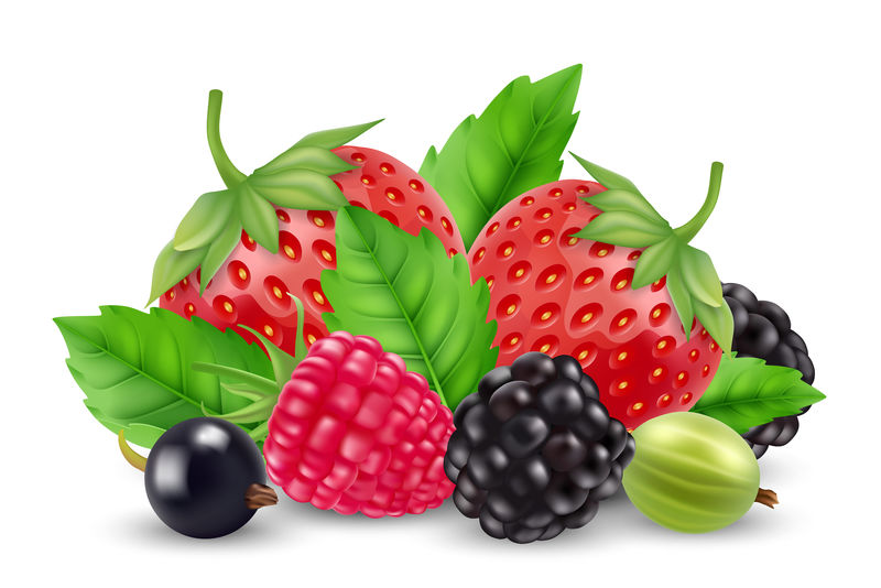 现实浆果载体。草莓，覆盆子，鹅莓，白底黑莓