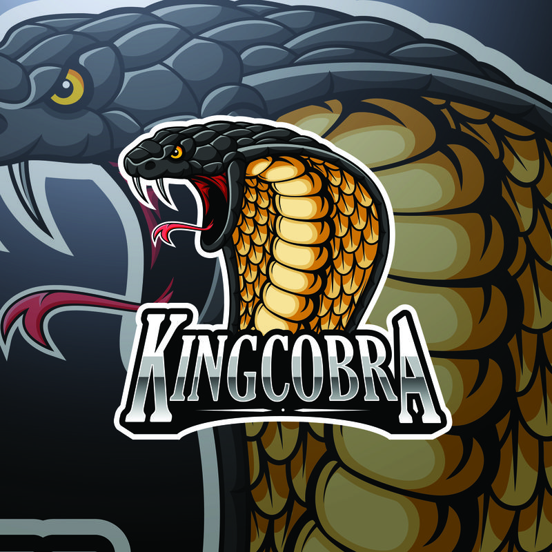 矢量吉祥物标志设计