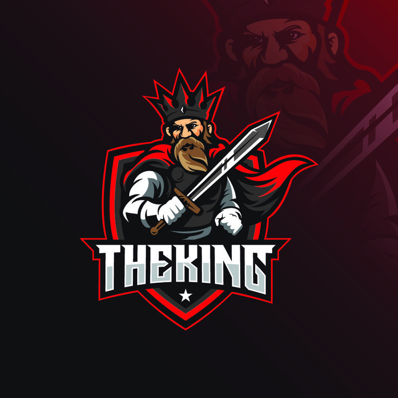 现代插画理念的吉祥物图案设计载体