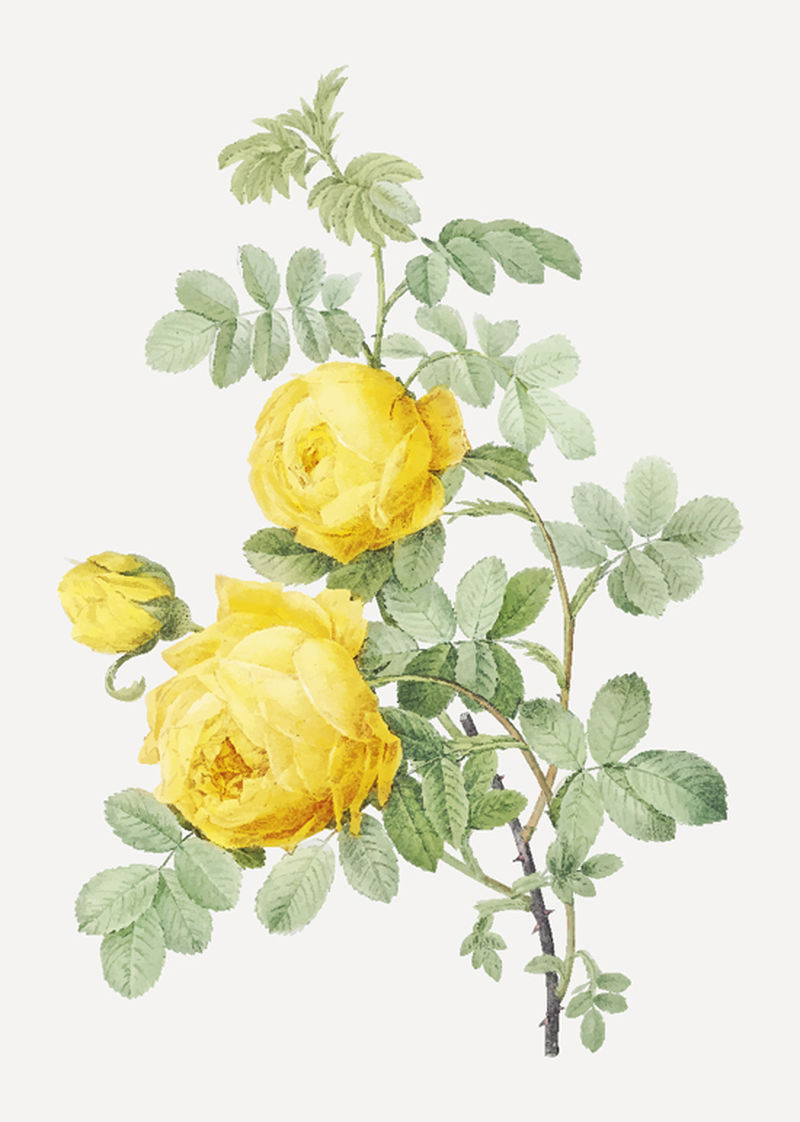 pd19-24-01-jj-01.eps