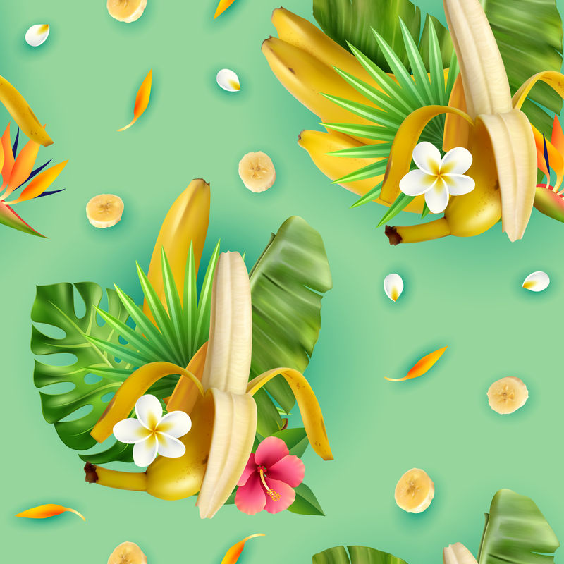 热带植物香蕉型