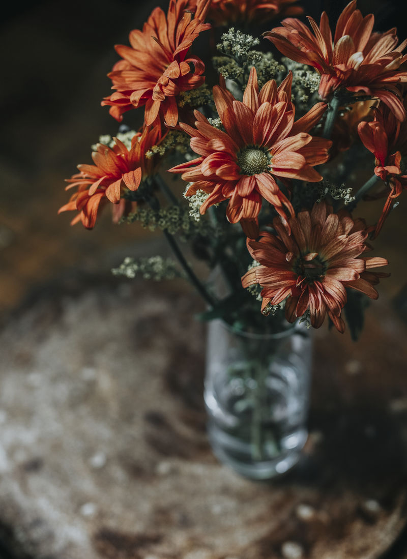 非洲菊花瓶里的雏菊花