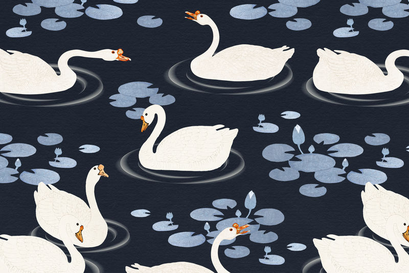 在深蓝色背景插图上的湖中游泳的白鹅