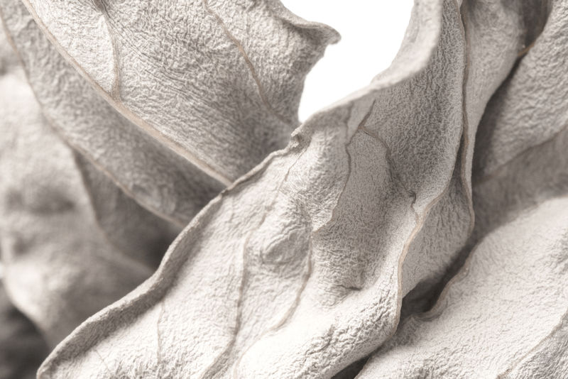 干叶设计资源特写