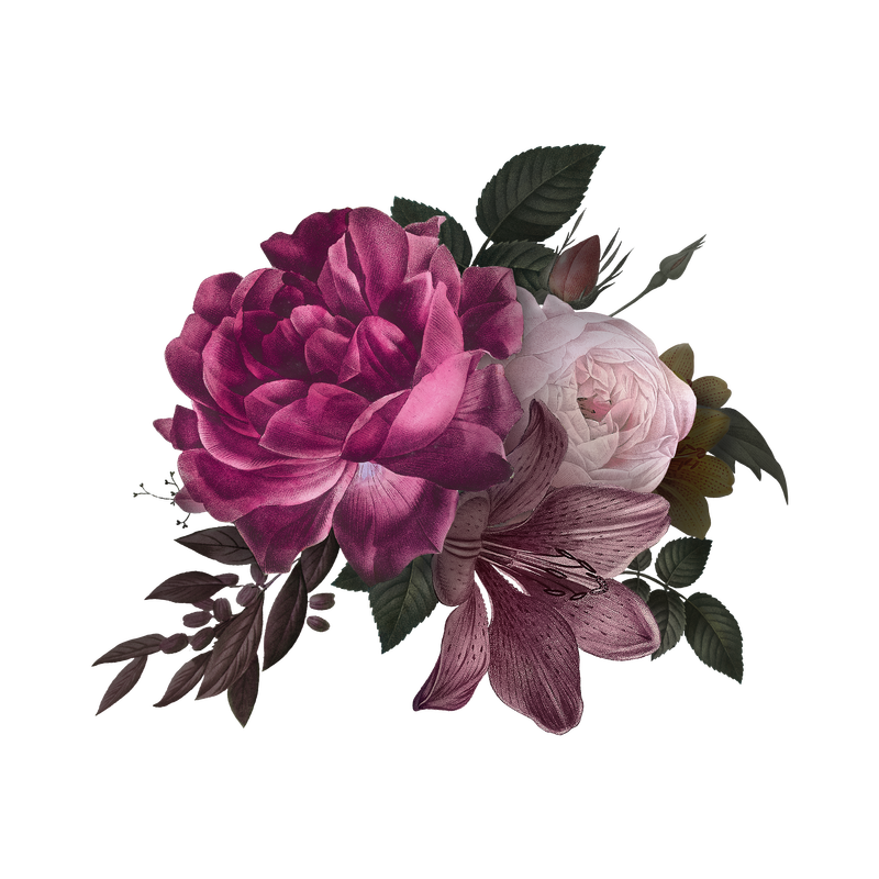 漂亮的手绘粉色玫瑰透明png