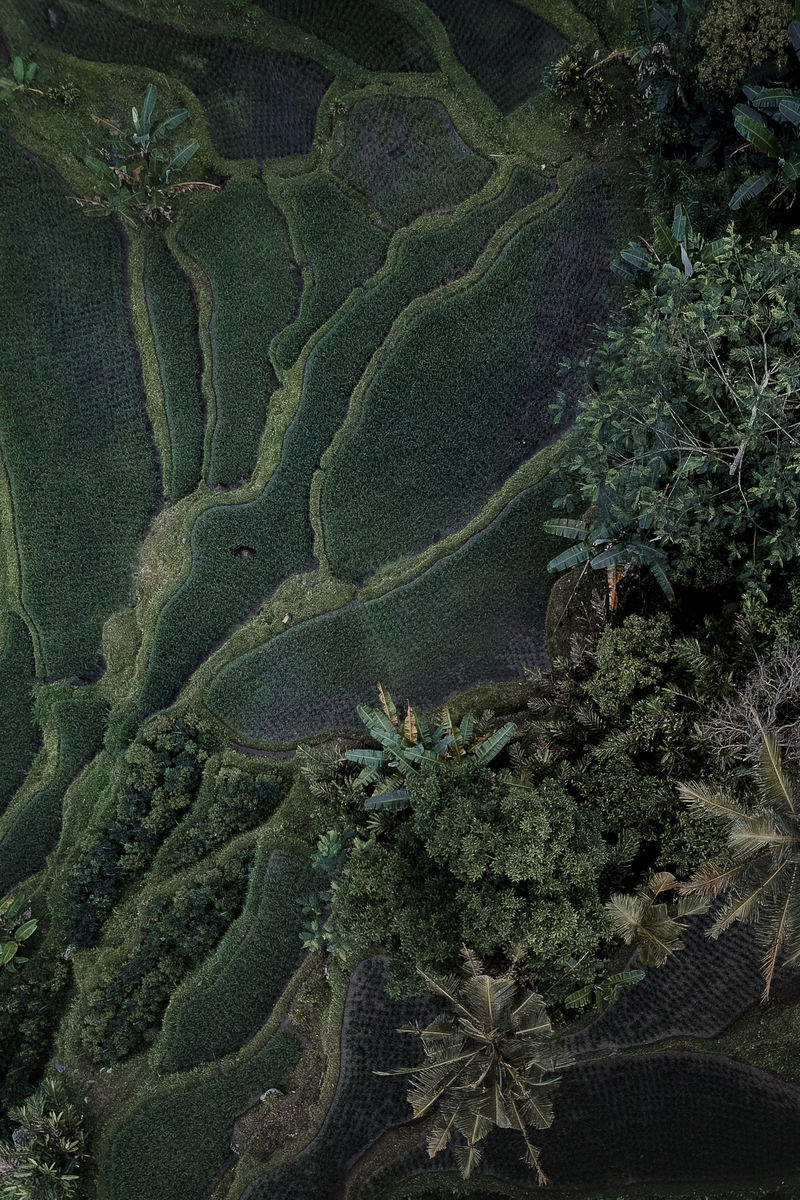 印尼悬挂式稻田鸟瞰图