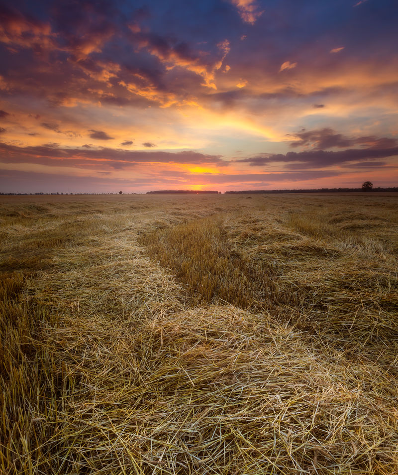 夕阳下的麦茬地壮观的云彩景观