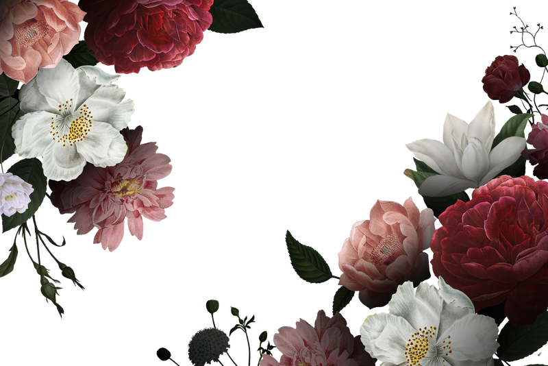 美丽的手绘玫瑰主题边框透明png