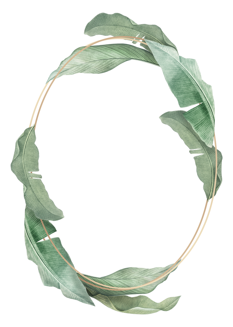 金色椭圆形徽章饰有天堂鸟树叶透明背景png