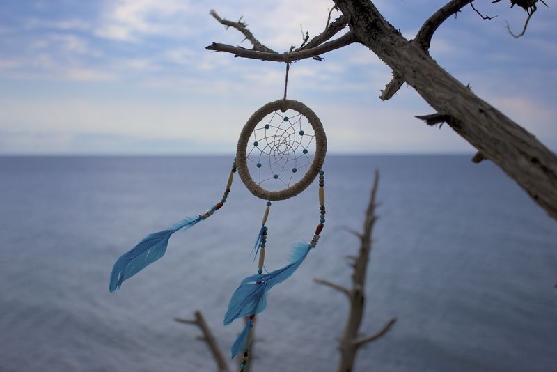 《追梦者》在野外自然日落时的特写镜头