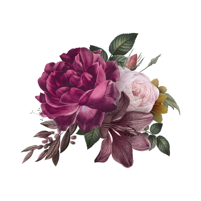 漂亮的手绘粉色玫瑰透明背景png素材 高清图片 摄影照片 寻图免费打包下载