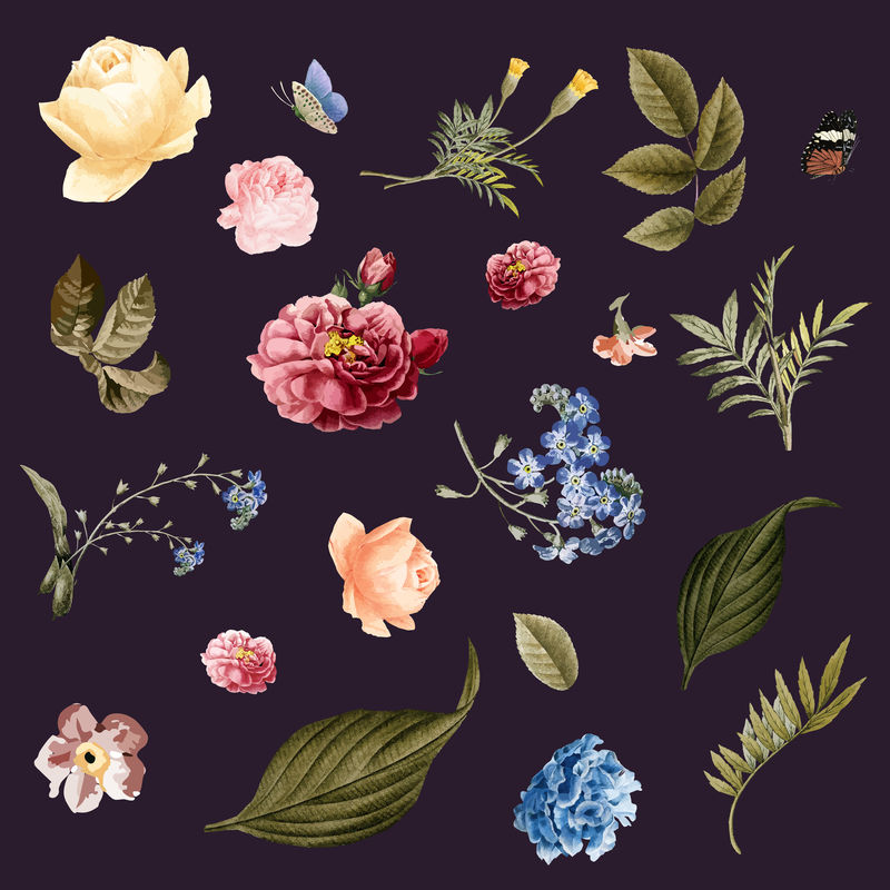手绘花五彩缤纷的花卉图案
