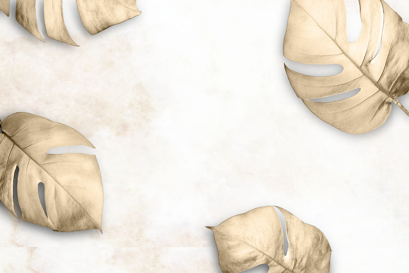 白色大理石背景上的金色分叶philodendron框架插图