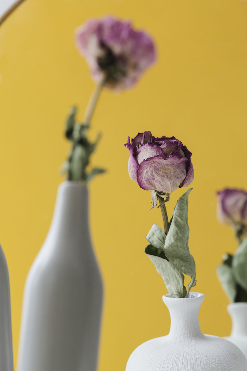 花瓶里的粉红色干玫瑰在镜子里反射