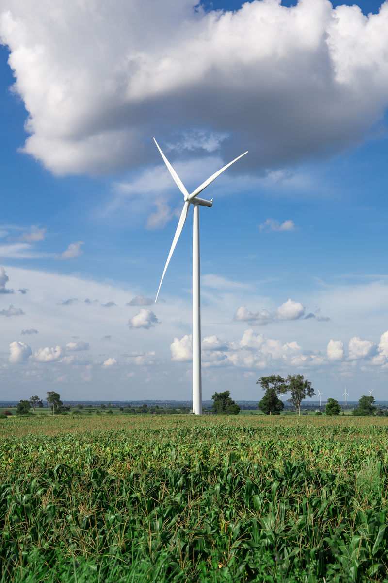 木薯背景天空中可替代能源的风力涡轮机