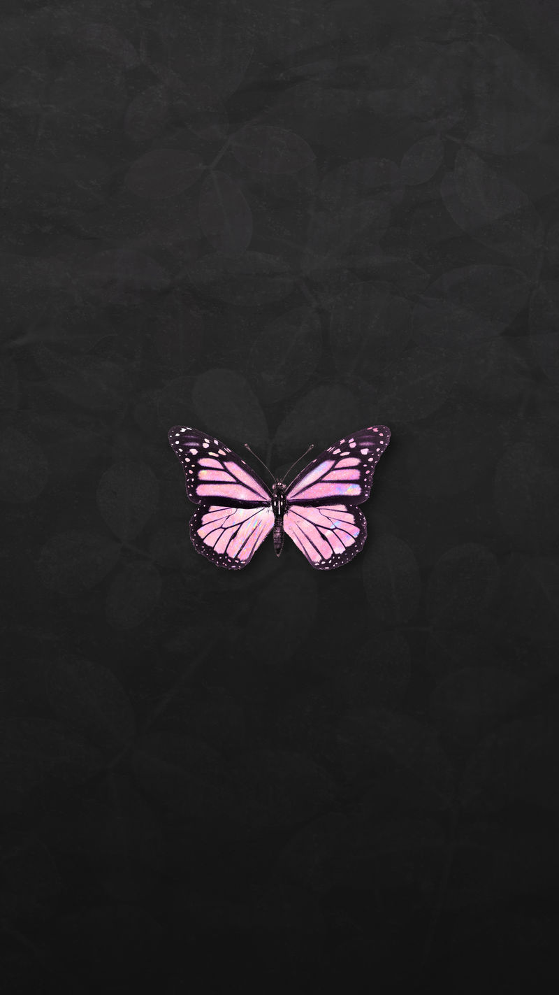 黑色屏保手机壁纸蝴蝶图片