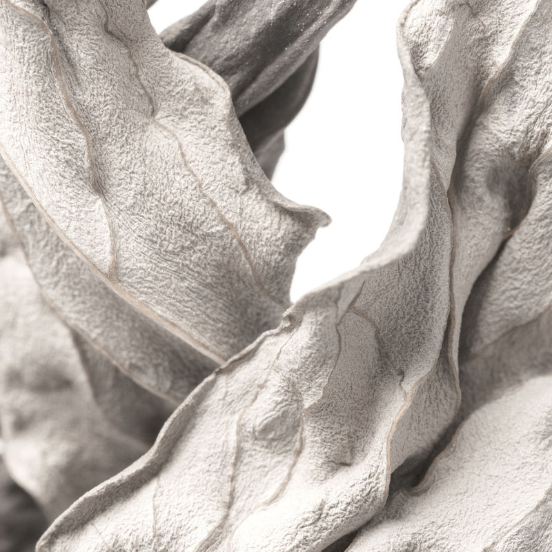 干叶设计资源特写