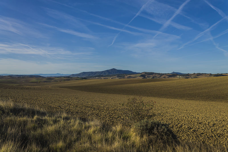 自然漫步纳瓦拉