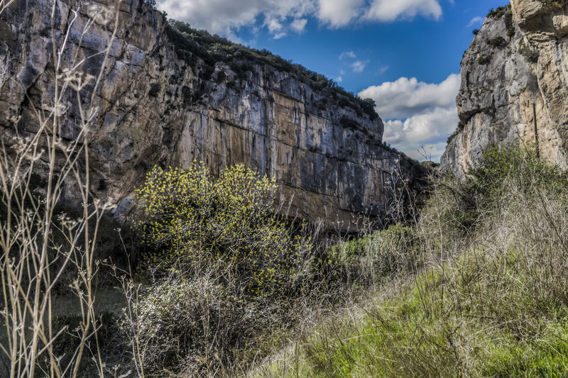 夏日纳瓦拉之美