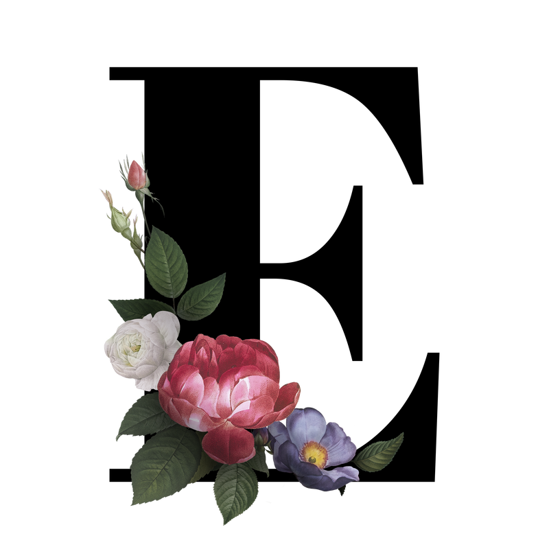 经典优雅的花卉字母字体字母E透明png