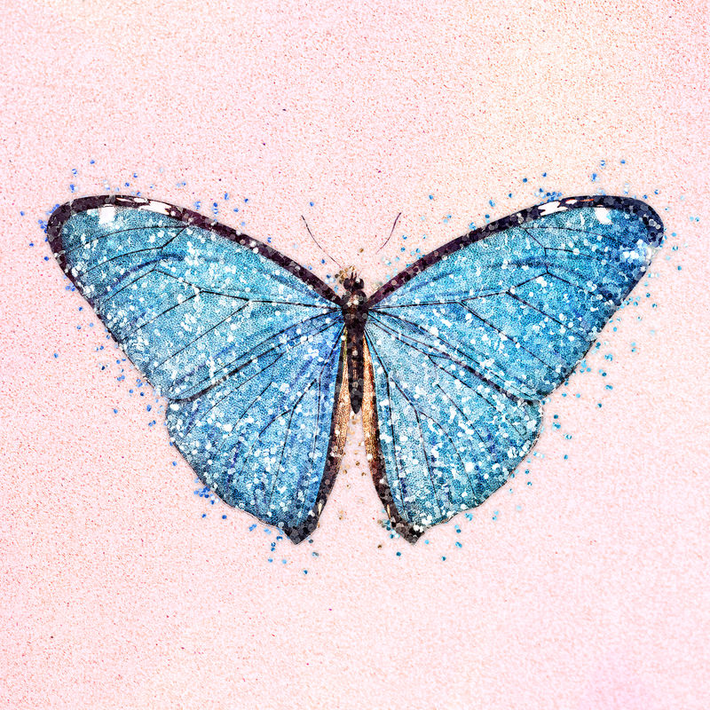 蓝蝴蝶图片 头像图片