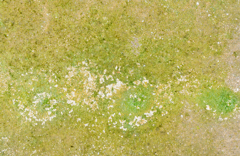 墙面纹理和背景