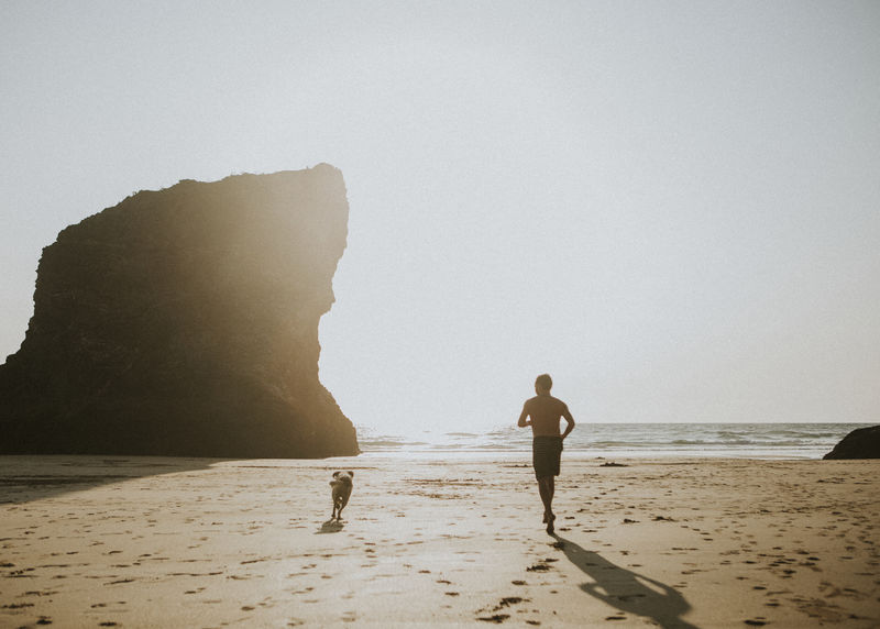 一个人和一条狗在海滩上奔跑