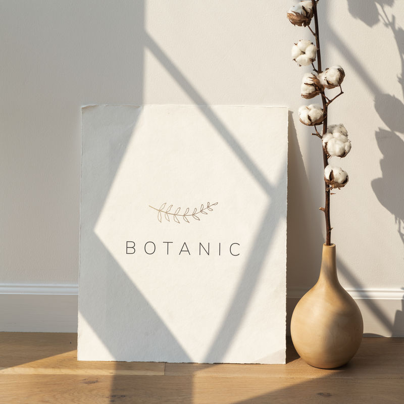 木地板上一张空白卡片上花瓶里的棉花花