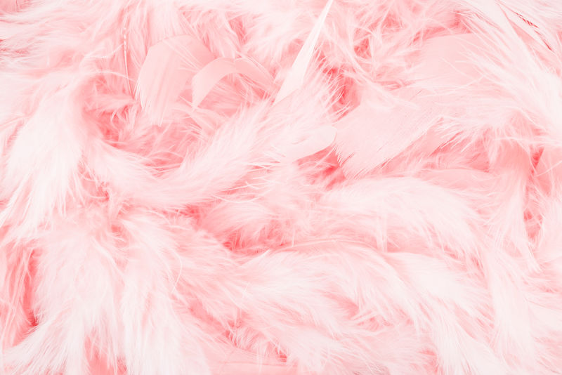 粉红色羽毛背景