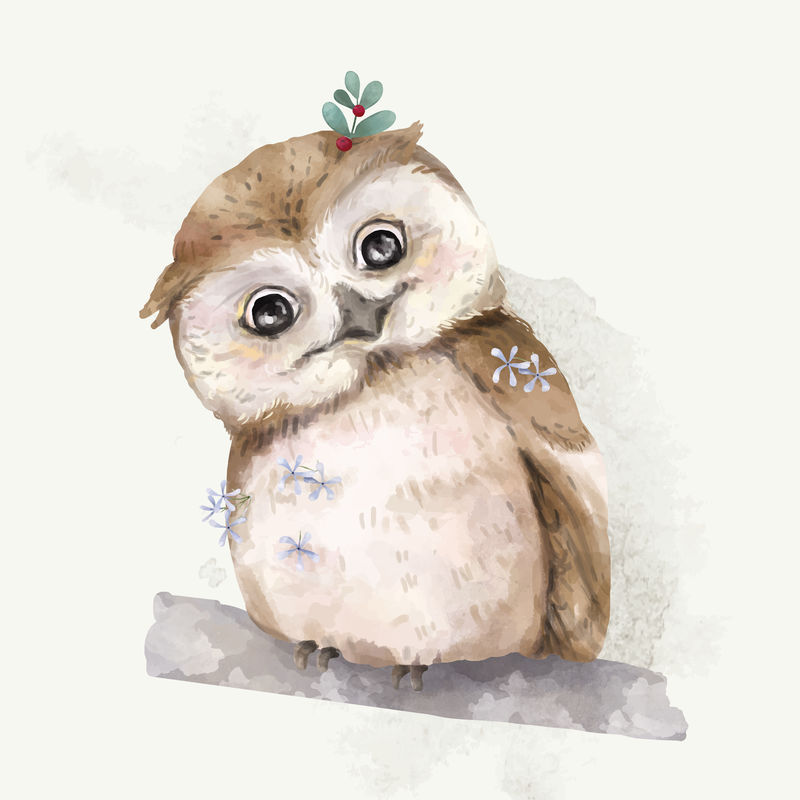 猫头鹰宝宝的插图
