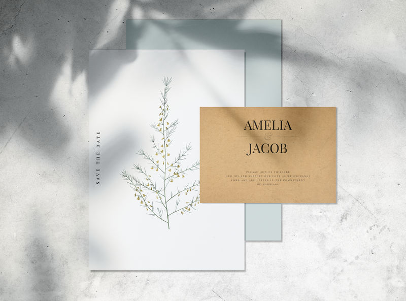 保存日期婚礼请柬模型