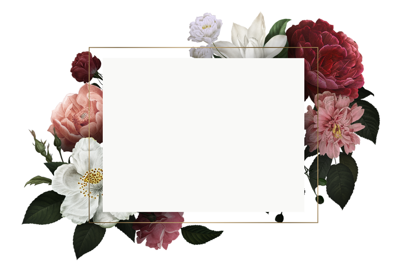 美丽手绘彩色玫瑰请柬透明png