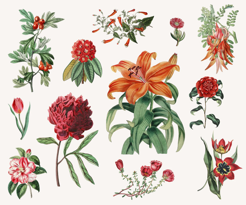 彩色复古花卉装饰载体套装