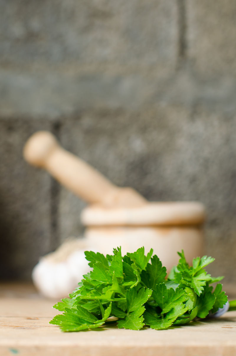 芳香草药的静物