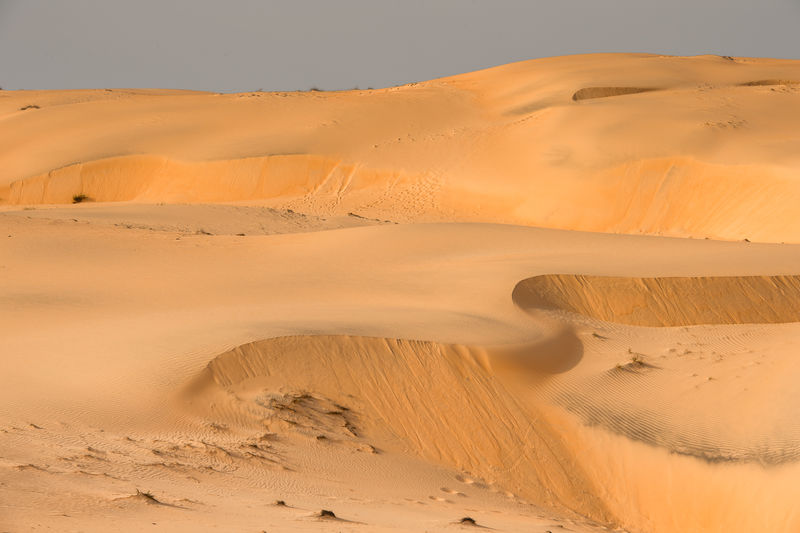 Sahara沙漠素材 高清图片 摄影照片 寻图免费打包下载