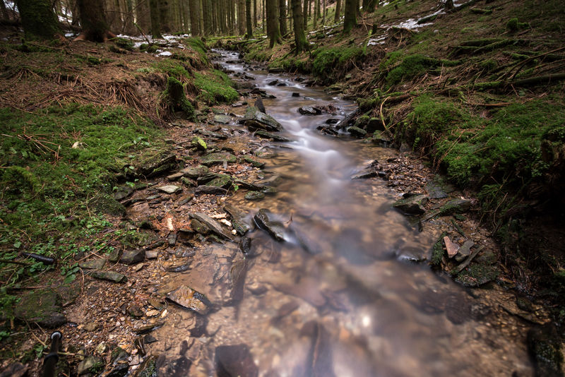 寒冬森林里的小河