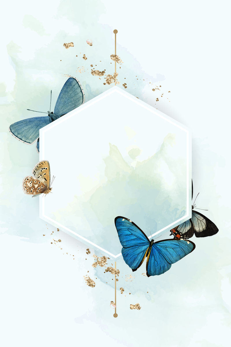 蓝色蝴蝶图案背景矢量六边形框架