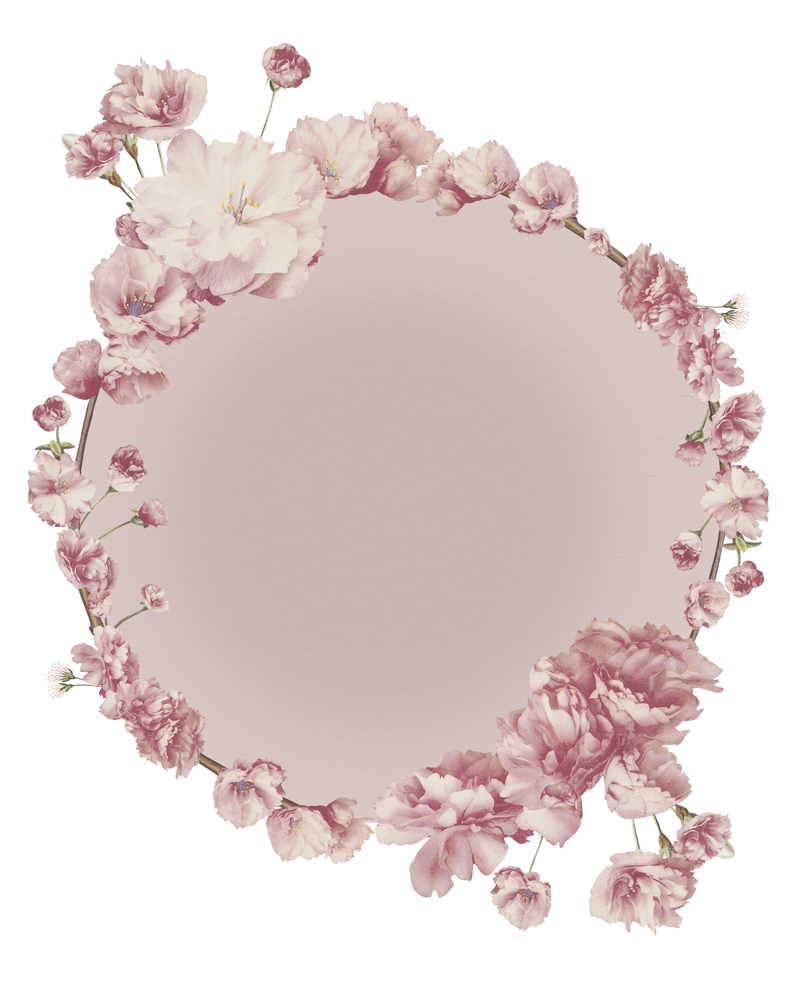 透明背景上的圆形粉红色樱花花束边框素材 高清图片 摄影照片 寻图免费打包下载