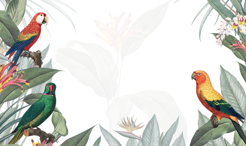 PNG框架与复古布里兹插图