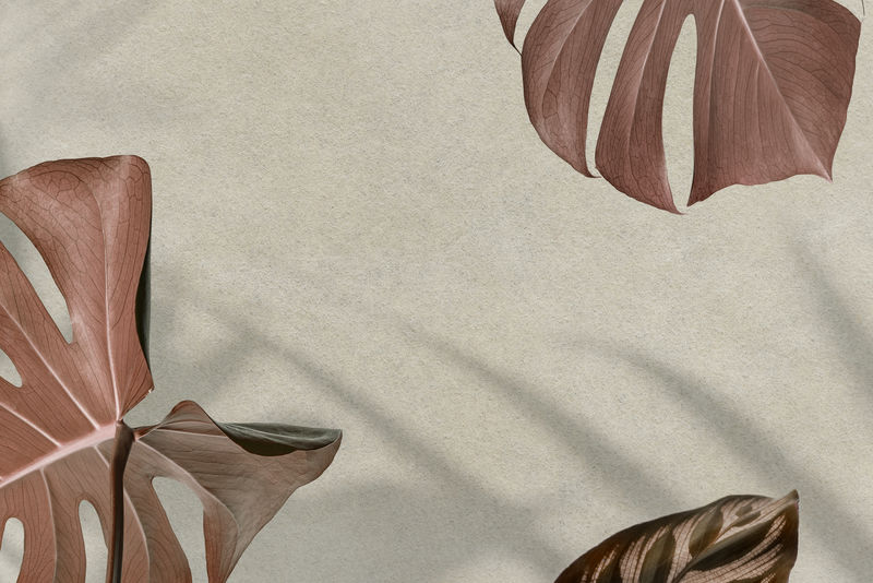 铜怪物带着复制空间离开