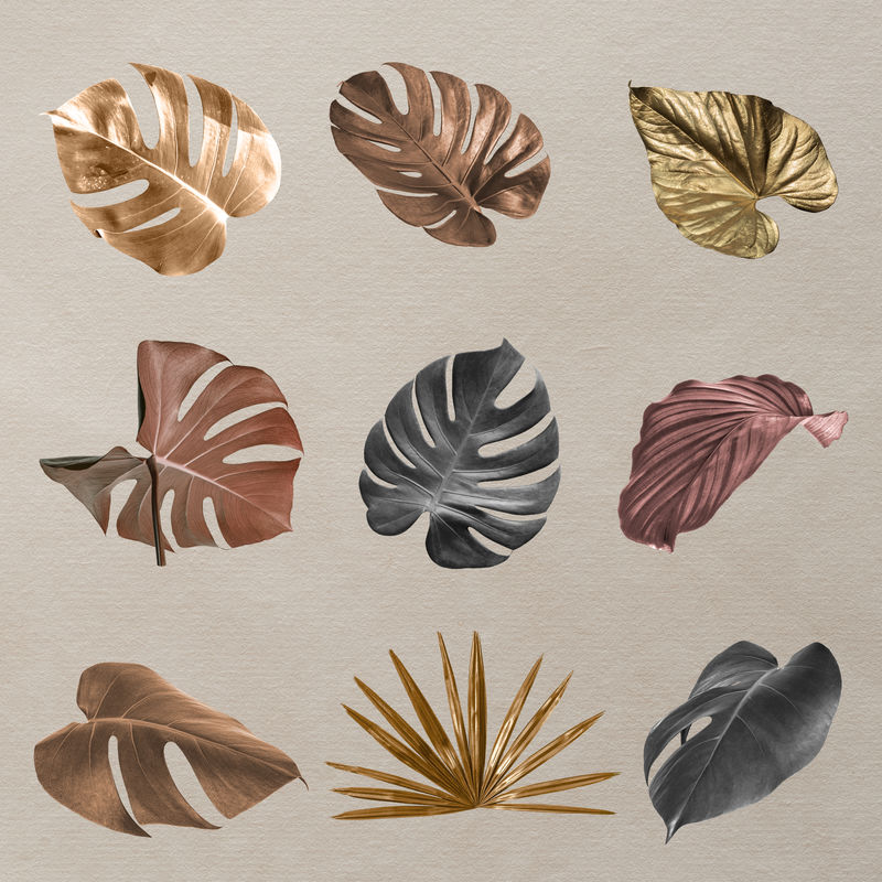 金属热带树叶设计元素套装