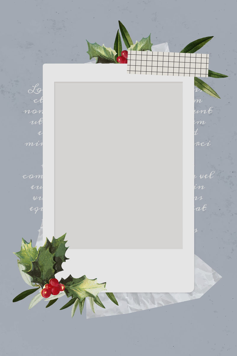 圣诞装饰空白即时相框矢量