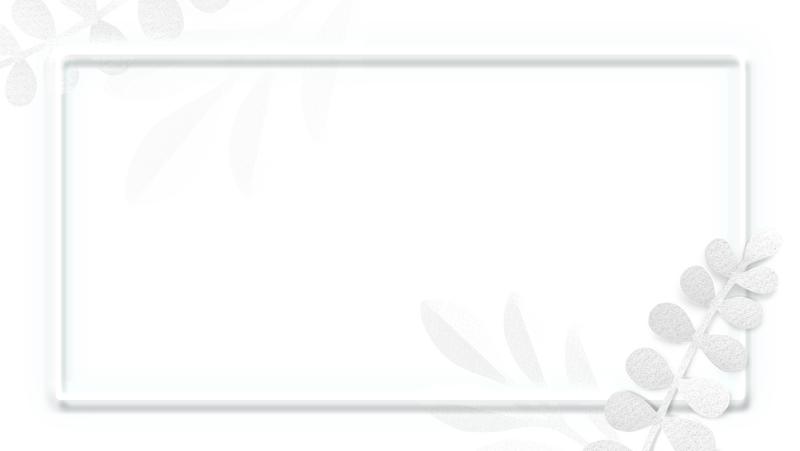 叶子图案白色霓虹灯边框透明png