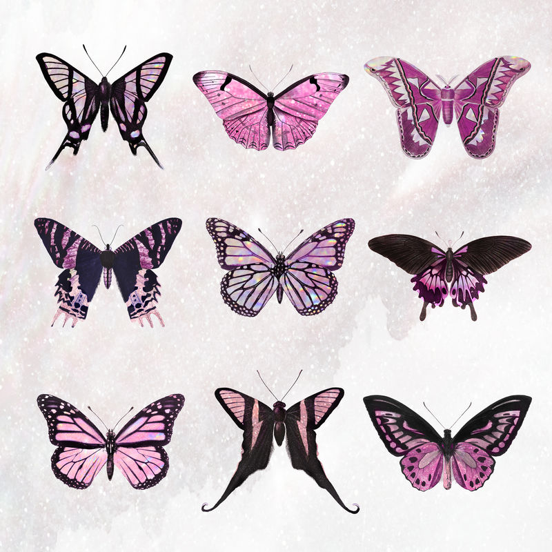 粉色全息和闪亮蝴蝶设计元素套装