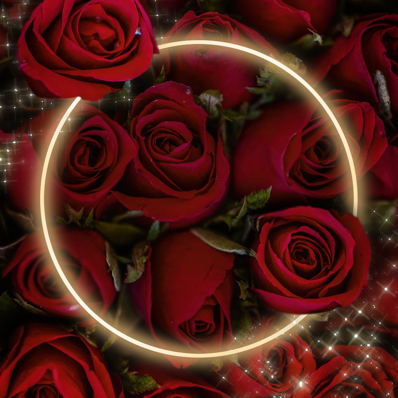 红玫瑰发光框psd