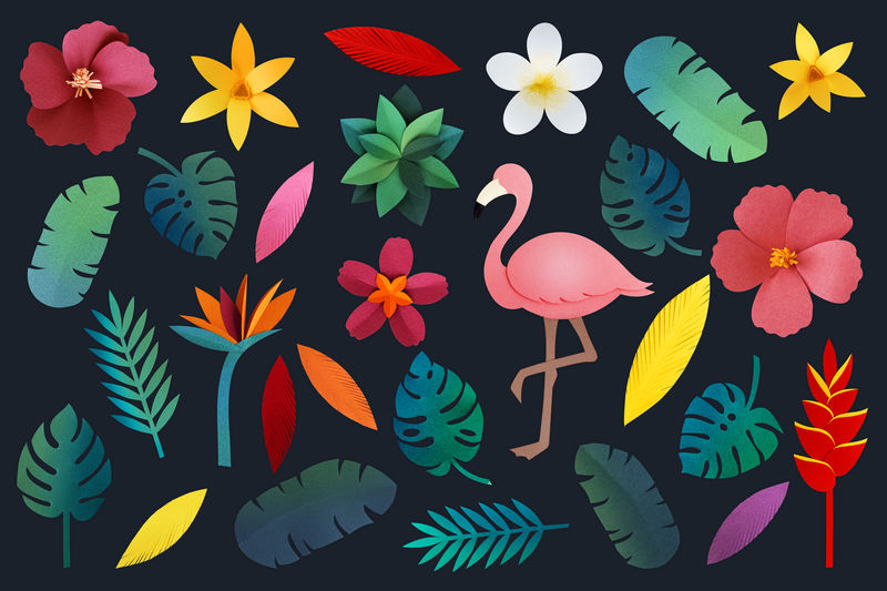 一套纸制的花草