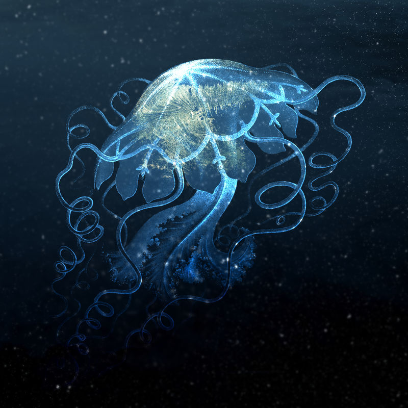 深蓝色海洋中的活生物体设计资源