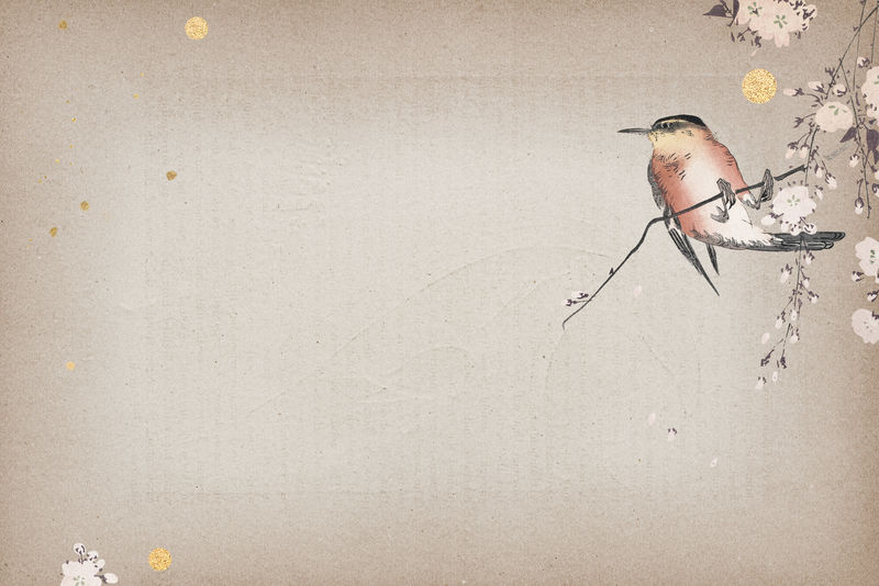 樱花枝上的鸣鸟背景插图