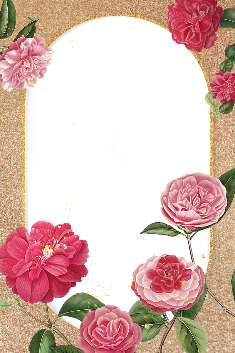 红粉山茶花图案空白框透明png